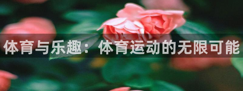 绿茵体育lyzb官网入口：体育与乐趣：体育运动的无限可能