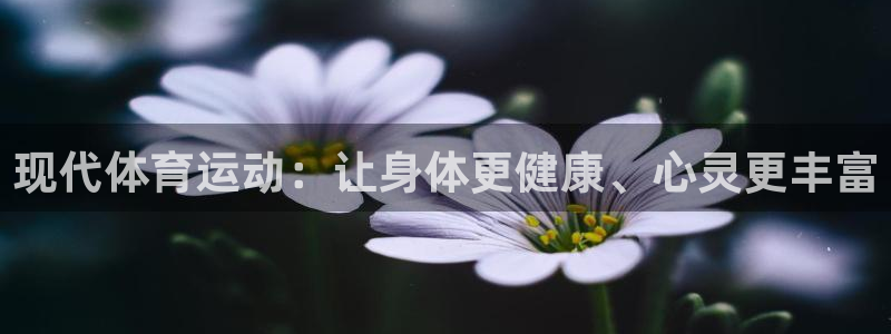 绿茵足球直播免费观看：现代体育运动：让身体更健康、心灵更丰富