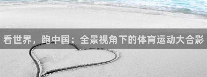 绿茵体育免费观看：看世界，跑中国：全景视角下的体育运动大合影