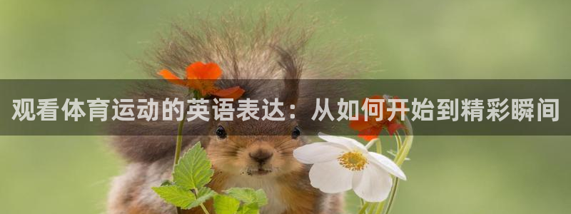 绿茵体育在线高清直播观看：观看体育运动的英语表达：从如何开始到精彩瞬间