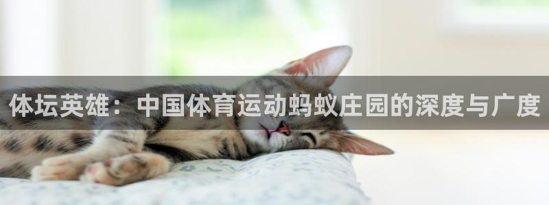 绿茵nba免费直播在线直播：体坛英雄：中国体育运动蚂蚁庄园的深度与广度