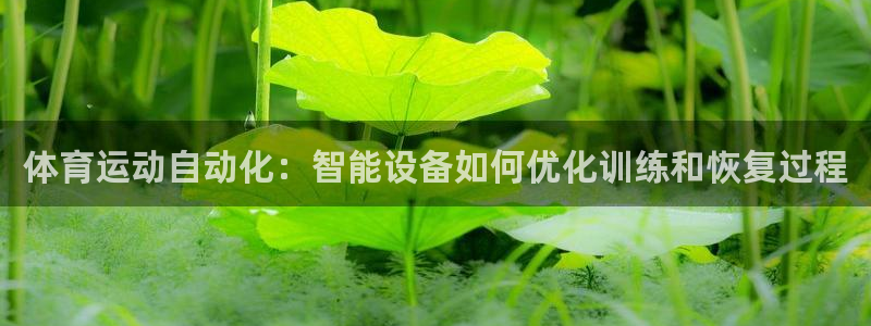 绿茵足球直播在线观看：体育运动自动化：智能设备如何优化训练和恢复过程