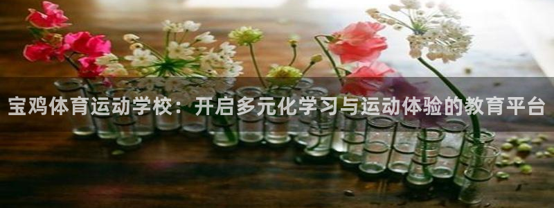绿茵nba直播在线观看：宝鸡体育运动学校：开启多元化学习与运动体验的教育平台