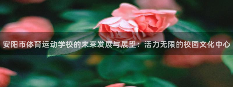 绿茵体育直播cBA：安阳市体育运动学校的未来发展与展望：活力无限的校园文化中心