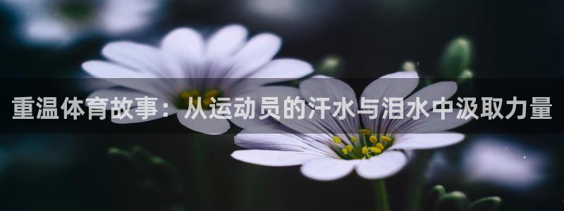 绿茵足球直播：重温体育故事：从运动员的汗水与泪水中汲取力量