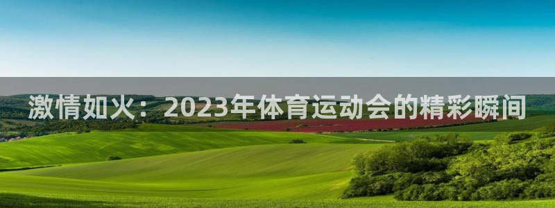 天津绿茵体育公司：激情如火：2023年体育运动会的精彩瞬间